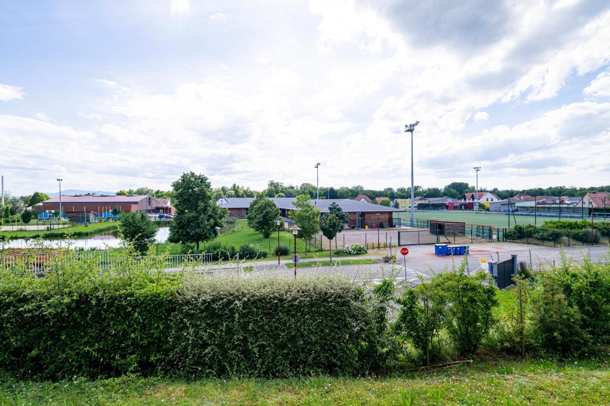 Chez Virgil - Terrasse Vue Degagee, Parking Prive Apartment Ernolsheim-Bruche Luaran gambar